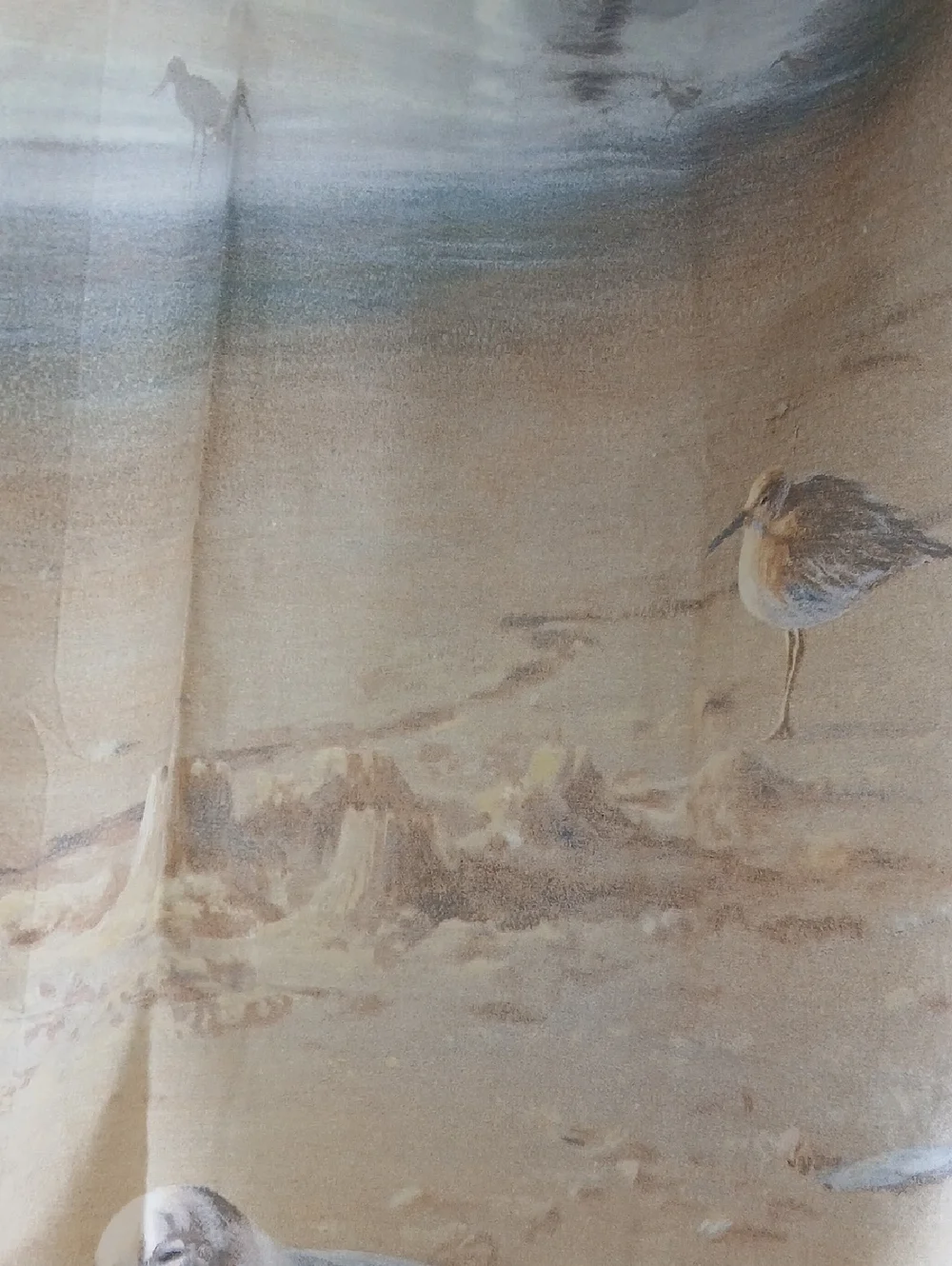 James Hautman Cotton Polyester Shower Curtain Coastal Shoreline Birds Lighthouse